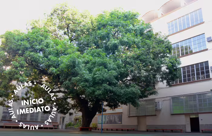 Imagem Video