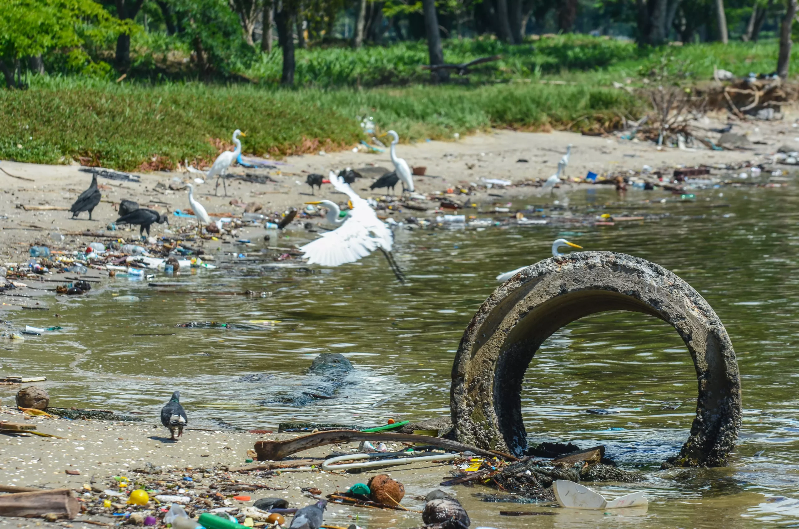 Saneamento no Rio de Janeiro: Um Registro dos Principais Acontecimentos da Década 2011-2020
