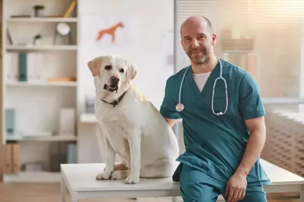 Portas Abertas 2024 - Medicina Veterinária