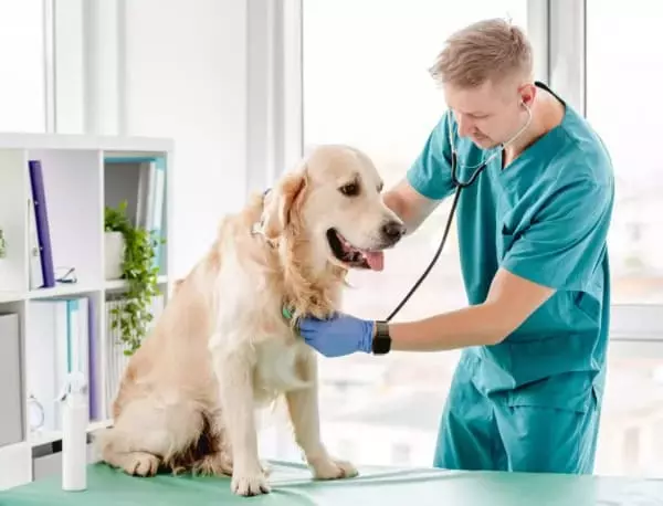 I semana acadêmica de Medicina Veterinária