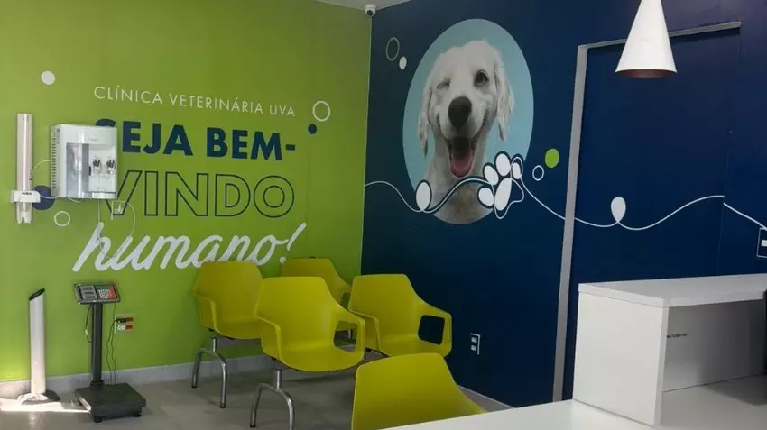 Notícia