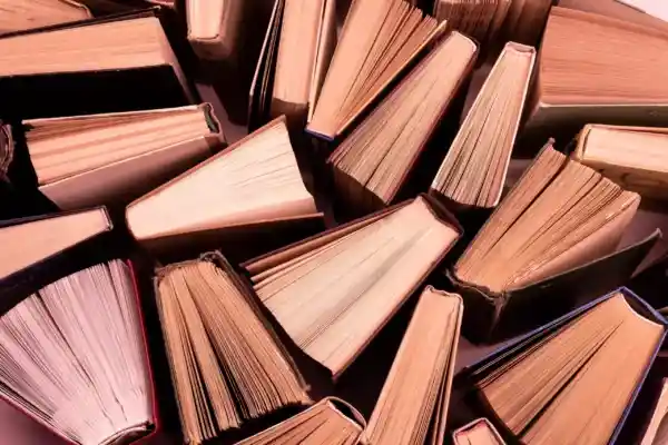 Palestra e Lançamento de Livro