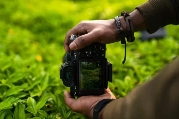 Fotografia Ambiental: Noções e Técnicas na Fotografia de Vida Selvagem